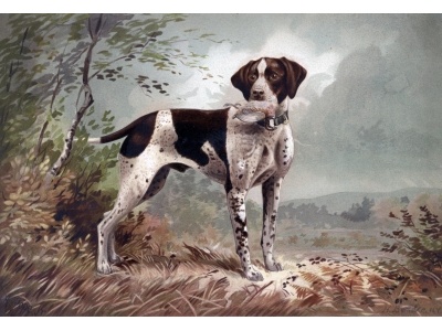 angol_pointer2
