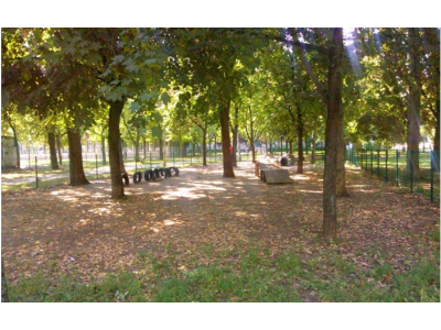 angyalfldi_kutyafuttat