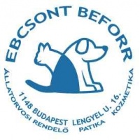 ebcsontbeforr_logo